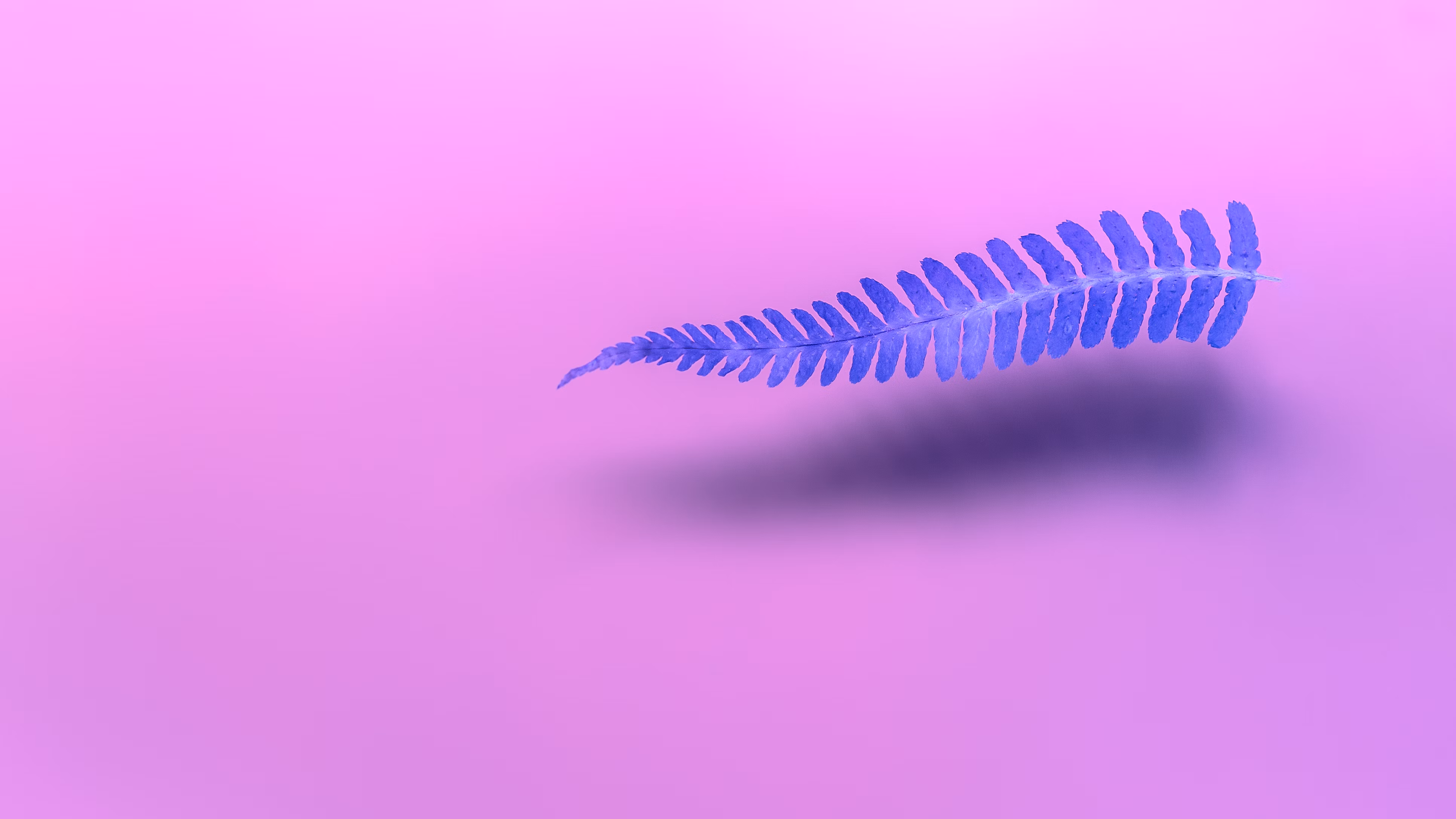 Lightweight Solution